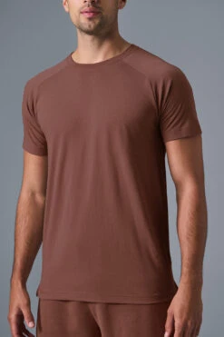 Triumph Raglan Tee - Chestnut -Style Avenue M1133R 03500 b1 s1 a4 1 m180