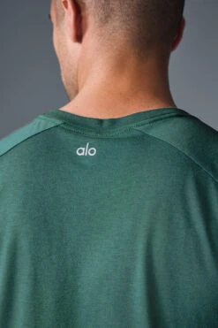 Triumph Raglan Tee - Winter Ivy 11 Triumph Raglan Tee - Winter Ivy -Style Avenue M1133R 05819 b1 s1 a5 1 m180