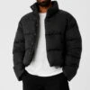Platinum Puffer - Black -Style Avenue M4153R 01 b1 s3 a1 1 m93