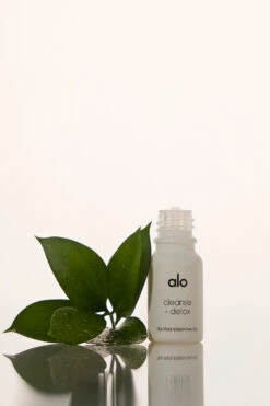 Cleanse & Detox Essential Oil (Tea Tree)