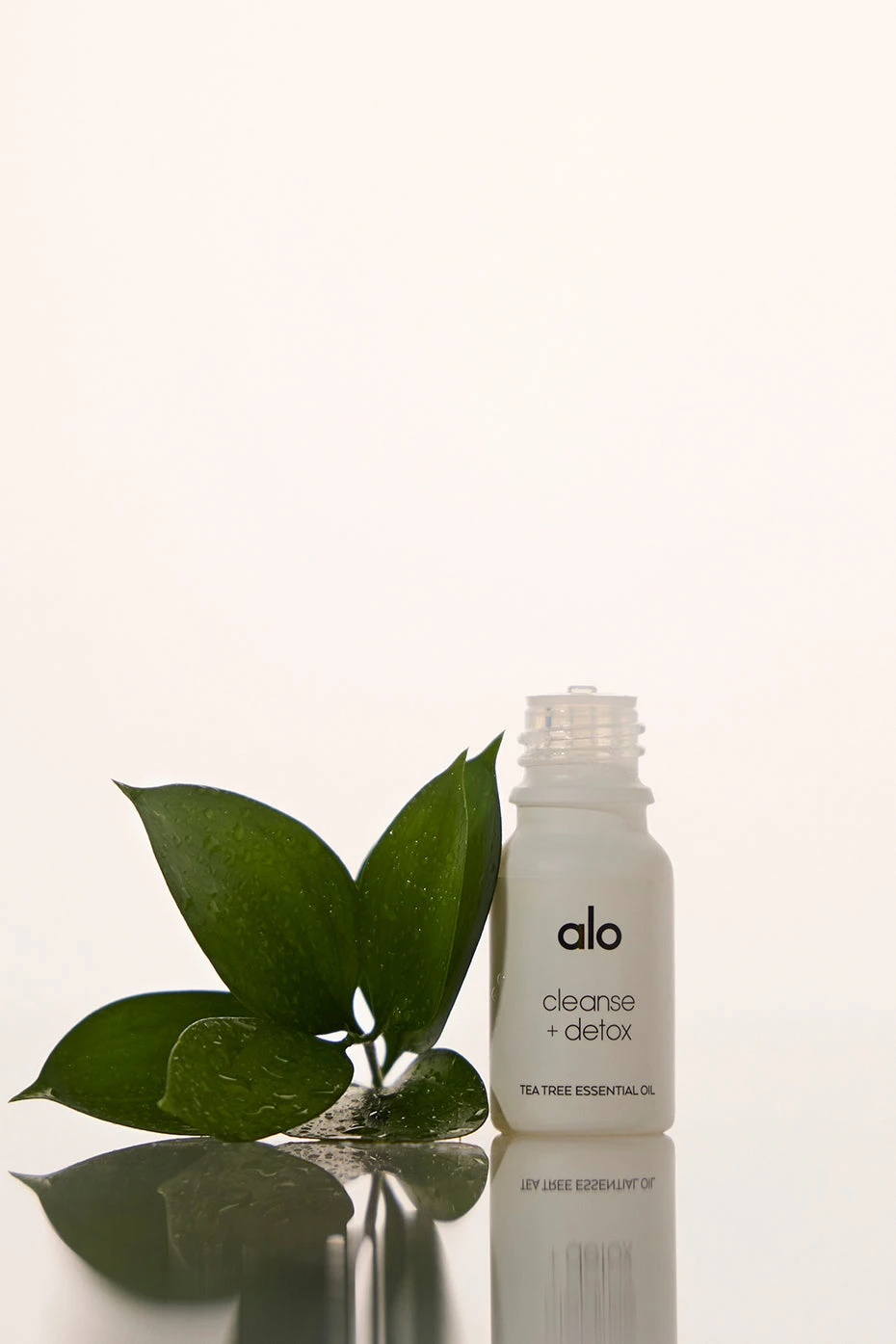 Cleanse & Detox Essential Oil (Tea Tree) 3 Cleanse & Detox Essential Oil (Tea Tree)