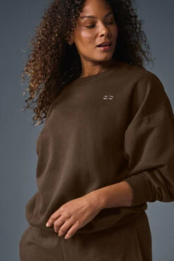 Accolade Crew Neck Pullover - Espresso -Style Avenue U3031RG 04064 b1 s1 a3 1 m182