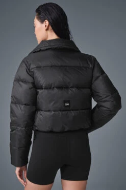 Gold Rush Puffer - Black -Style Avenue W4380R 01 b1 s1 a2 m54
