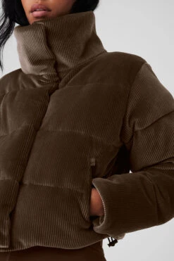 Ribbed Velour Gold Rush Puffer - Macchiato -Style Avenue W4497R 05614 b1 s1 a4 2 m18